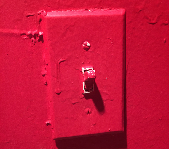 Painted Light Switch